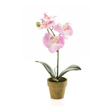 Orchidea phalaenopsis artificiale SETH in vaso decorativo, rosa, 25cm
