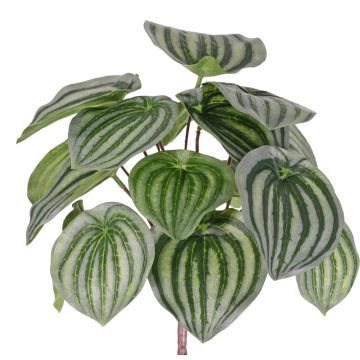 Pianta artificiale di peperomia ALARA su stelo, verde, 25cm