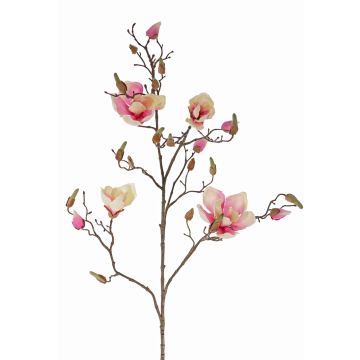 Magnolia artificiale LORA, crema-rosa, 110cm, Ø10-12cm