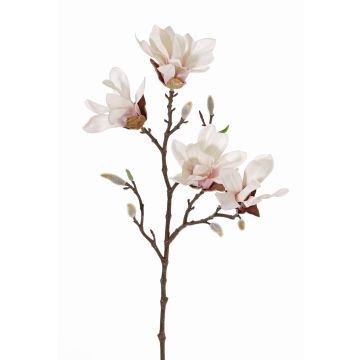 Magnolia stellata artificiale AZULA, crema-rosa, 60cm, Ø7-9cm