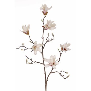 Magnolia stellata artificiale AZULA, crema-rosa, 95cm, Ø7-9cm