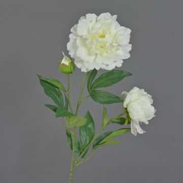 Peonia artificiale ONYX, bianco, 70cm, Ø10-13cm