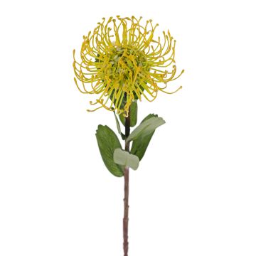 Protea artificiale BAILY, giallo, 50cm, Ø12cm