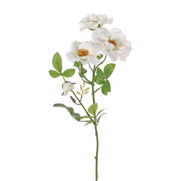 Rosa selvatica artificiale BALOU, bianco, 60cm, Ø7-9cm