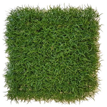 Tappeto / Siepe di erba artificiale FILLY, zona trasversale, verde, 25x25cm