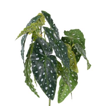Begonia maculata artificiale HANSE su stelo, verde-bianco, 40cm