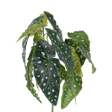 Begonia maculata artificiale HANSE su stelo, verde-bianco, 40cm