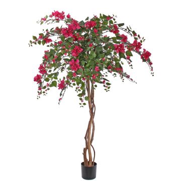 Bougainvillea artificiale OFRA, tronchi veri, fiori, zona trasversale, fucsia, 180cm