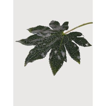 Foglia di aralia artificiale HERRO, con brillantini, verde, 20cm