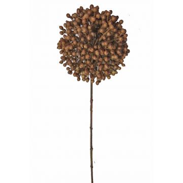 Allium artificiale BOCELLI, marrone, 70cm, Ø14cm