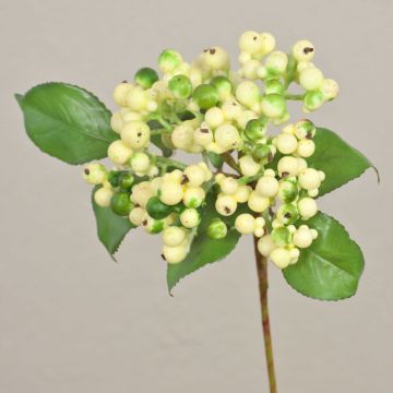Ramo artificiale di sambuco HELMA con bacche, verde crema, 30cm