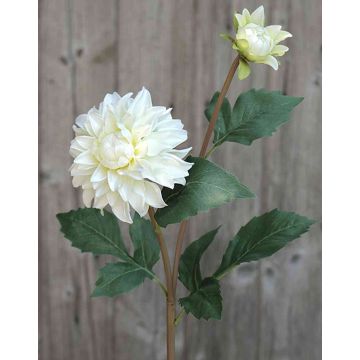 Dahlia finta PATRITZIA, crema-bianco, 55cm
