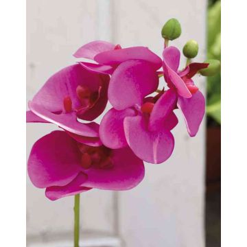 Ramo artificiale di orchidea phalaenopsis OPHELIA, fucsia, 40cm