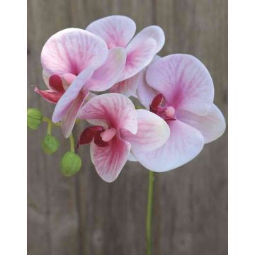 Ramo artificiale di orchidea phalaenopsis OPHELIA, rosa-fucsia, 40cm