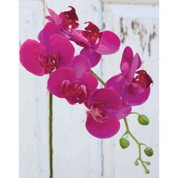 Ramo artificiale di orchidea phalaenopsis OPHELIA, fucsia, 80cm