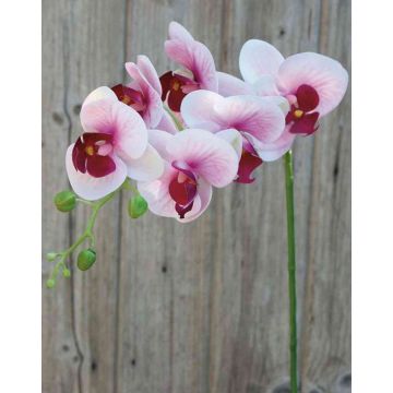 Ramo artificiale di orchidea phalaenopsis OPHELIA, rosa-fucsia, 80cm