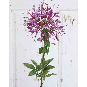 Fiore ragno artificiale HILDEGARD, viola, 85cm