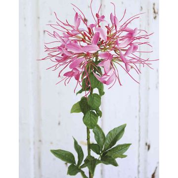 Fiore ragno artificiale HILDEGARD, rosa, 85cm