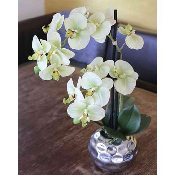 Orchidea phalaenopsis artificiale EMILIA, in vaso, crema-verde, 45cm