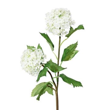 Ramo decorativo di viburno SNALMO, bianco, 50 cm