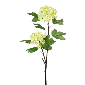 Ramo decorativo di viburno SNALMO, verde chiaro, 50 cm