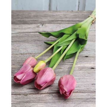 Mazzo di tulipani artificiali LONA, lilla-verde, 45cm, Ø15cm