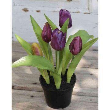 Tulipano artificiale LEANA in vaso decorativo, viola-verde, 20cm, Ø2-4cm