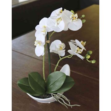 Orchidea phalaenopsis decorativa ZARMINAH in ciotola di ceramica, bianco, 35cm