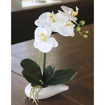 Orchidea phalaenopsis decorativa ZARMINAH in vaso di ceramica, bianco, 30cm