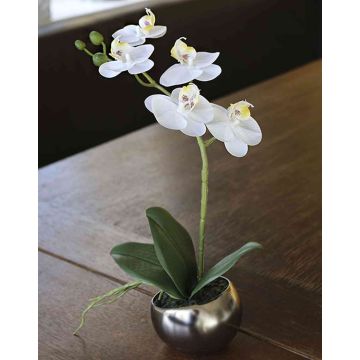 Orchidea Phalaenopsis artificiale ZARMINAH in vaso di ceramica, bianco, 30cm