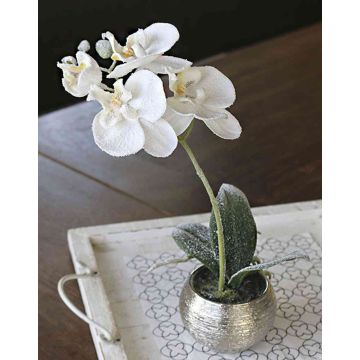 Orchidea phalaenopsis artificiale KAREN, vaso decorativo, ghiacciato, bianco, 35cm