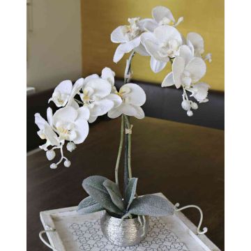 Orchidea phalaenopsis artificiale KAREN, vaso decorativo, ghiacciato, bianco, 50cm