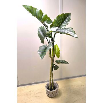 Colocasia artificiale YORICK, verde, 180 cm