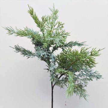 Ramo di cedro decorativo BALTHILDE, verde, 80 cm