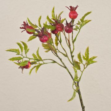 Ramo decorativo di rosa selvatica VIVEKA con bacche di rosa canina, rosso, 50 cm