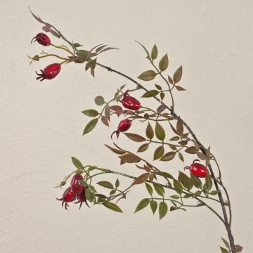 Ramo di rosa selvatica artificiale VARDALIA con bacche di rosa canina, rosso, 95 cm