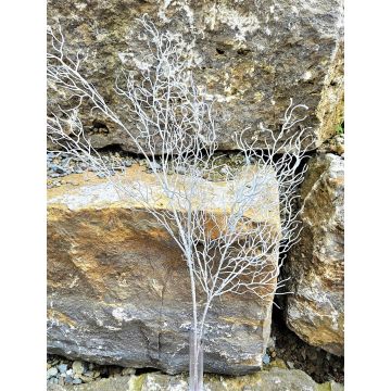 Ramo di salice decorativo DONATELLA, argento, 70 cm