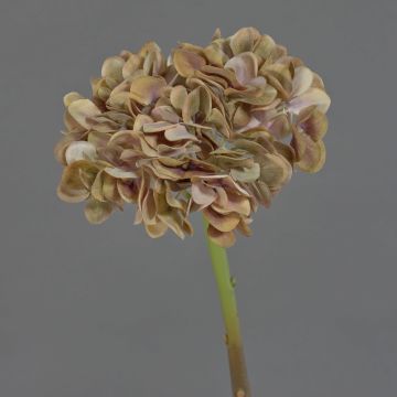 Fiore artificiale ortensia MANDISA, marrone-rosa, 65 cm