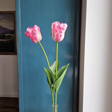 Tulipano artificiale PETSCHORA, rosa scuro-crema, 65 cm