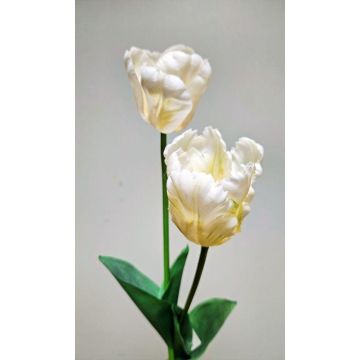 Tulipano artificiale PETSCHORA, bianco crema, 65 cm