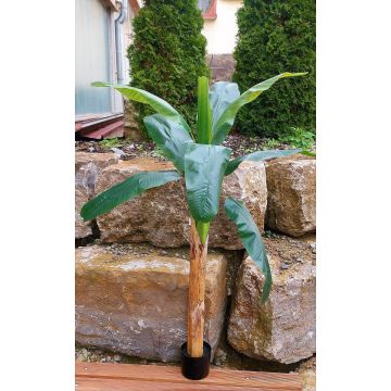 Pianta artificiale banano SHARA, 150 cm