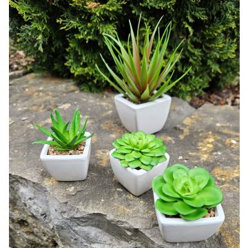 Aloe vera decorativa KATNISS, vaso in ceramica, verde, 9 cm