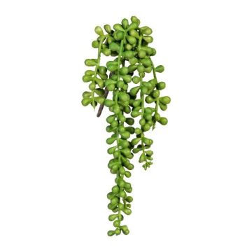 Pianta succulenta artificiale pisello FERTIN, bastoncino, verde, 35 cm