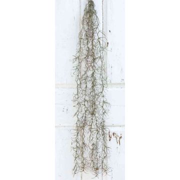 Tillandsia Usneoides artificiale CEVIN, gambo, verde, 100cm