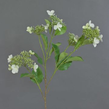 Ramo artificiale di ortensia KATHANI, crema, 80 cm