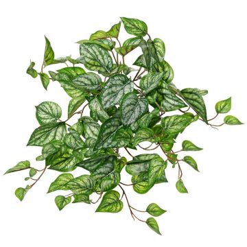 Rampicante artificiale edera maculata KEVINA su bastone, Eco Collection, verde-bianco, 55 cm