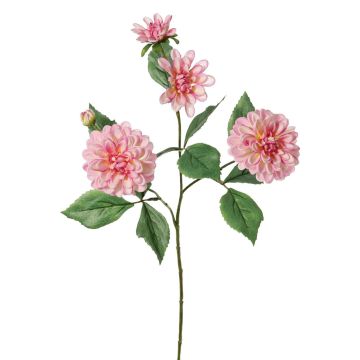 Ramo decorativo dalia artificiale QUINKA, rosa, 70 cm