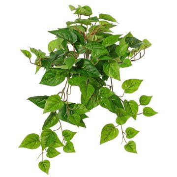Pianta decorativa edera SHELLEY su bastone, Eco Collection, verde, 55 cm