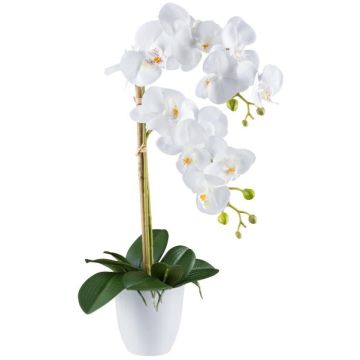 Fiore decorativo Orchidea Phalaenopsis BLENTOR in vaso di melamina, radici, bianco, 55 cm