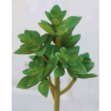 Echeveria gibbiflora artificiale TROY, stelo, verde, 17cm